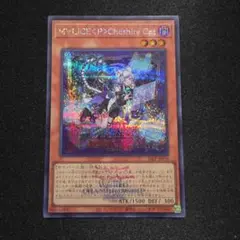 M∀LICE<P> Cheshire Cat WCSロゴ