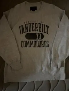 Champion Reverse Weave 90s 00s霜降りグレー　希少