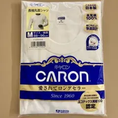 Item thumbnail for item 257e66fb-a7d4-4851-819d-651efc9f7af4