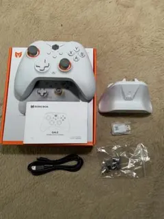 BIGBIGWON GALE HALL ゲームコントローラー