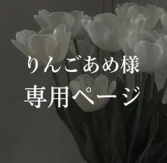 りんごあめ様 専用ページ