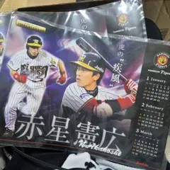 2026年最新】赤星憲広の人気アイテム - メルカリ