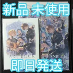 2026年最新】グラブル パンフレット 未使用の人気アイテム - メルカリ