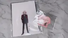 泛塵