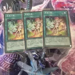 遊戯王　蟲惑の誘い　スーパー　3枚