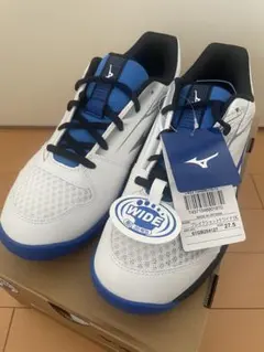 ミズノオムニクレーコート用 テニスシューズ