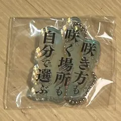 命の燃やし方祭 オーロラミニチャーム