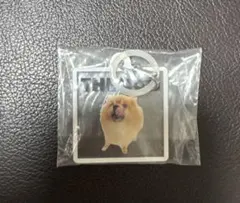 THE DOG ポメラニアン アクリルキーホルダー