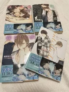 小説 凪良ゆう 美しい彼 4巻セット