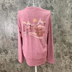 希少✨patagonia【S】ロングスリーブ Tシャツ/カットソー アウトドア
