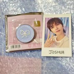 seventeen yakusoku PINS インスタントフォト ジョシュア