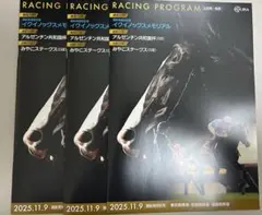 2025 イクイノックス 特別版 レーシングプログラム 3冊セット