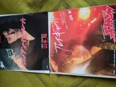 山本翔 EPレコード 2点
