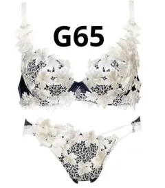 ワコール　サルート　ブラとショーツ　BTJ489（G65）PTJ789