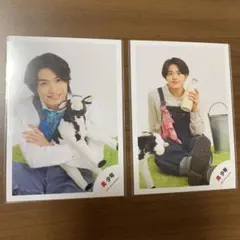 美少年　那須雄登　金指一世　ミニフォト　公式写真