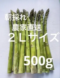 朝採れ　農家直送　アスパラ　アスパラガス　500gのサムネイル