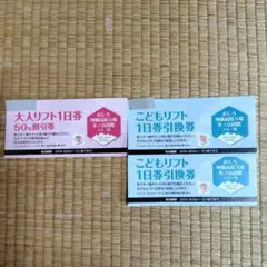 ❴専用出品❵大人・子供リフト1日券割引券まとめ売り３枚