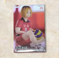 ハイキュー!! 　ぬーどるストッパー　孤爪研磨