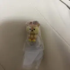 ミニティーン　ジョシュアのサムネイル