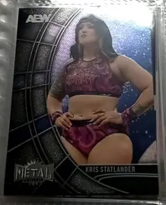 AEW　クリス・スタットランダー　女子プロ　プロレス　カード