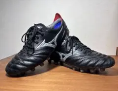 2026年最新】モレリアネオ4の人気アイテム - メルカリ