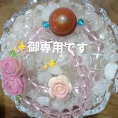 ✨御専用です✨