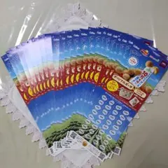 2026カルビーキャンペーン大収穫祭 懸賞 応募ハガキ 25枚 匿名配送