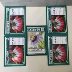 未使用　ジャポニカ学習帳　5冊 ショウワノート