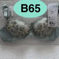 新品 LECIEN ブラジャー B65 グリーンのサムネイル