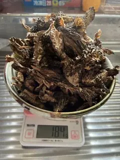 天然アミガサタケ 国産京都産 最終便①特大〜特盛り！ - メルカリ