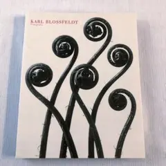 2026年最新】karl blossfeldtの人気アイテム - メルカリ