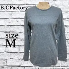 Item thumbnail for item 84c49e5f-61a0-486b-8cc7-5b7032a6b295