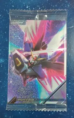 デスティニー イタジャガ ガンダム ②