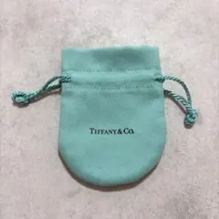 Tiffany & Co. 巾着袋　アクセサリーケースのサムネイル