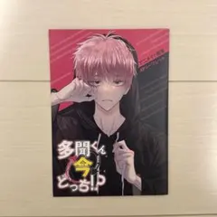 多聞くん今どっち！？ アニメイト特典 師走ゆき 福原多聞 小冊子 リーフレット