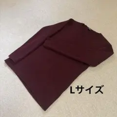 【美品】MORGAN リブ編み　長袖ニット　ボルドー　Lサイズ　メンズ