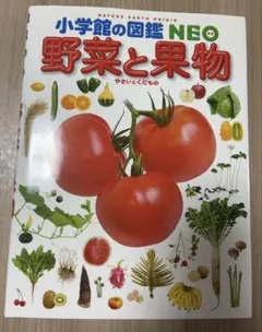 Item thumbnail for item e3da7f64-1436-49fd-a326-50b39498a7e9