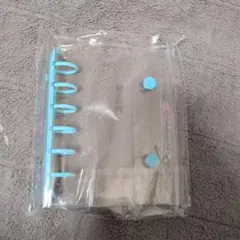 Item thumbnail for item 143a95a8-be97-40bb-8ef9-0a0915bba264