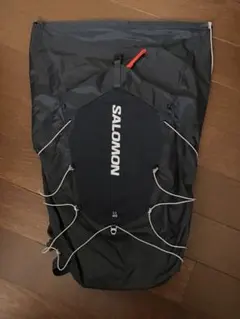 SALOMON グレー 大型キャリーケース ローラーバッグ スキー - メルカリ