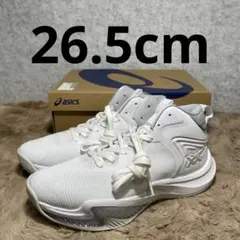 Item thumbnail for item 6c88171f-a4e6-44be-9de0-328c842097b4