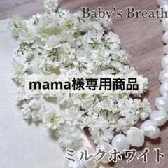 mama様専用❤️ かすみ草ドライフラワー ミルクホワイト 60粒+α計6セット