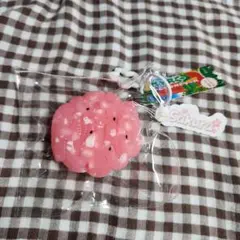 スクイーズ SAKURA スイカ ココオイル
