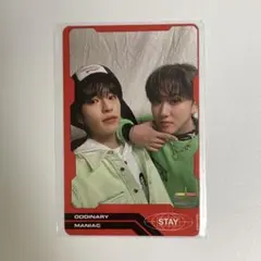 stray kids スキズ チャンビン スンミン oddinary トレカ