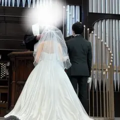 「LoveTiara」ラブティアのミディアムベール【メロウ】