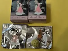 ディズニーストアシークレットシンデレラチャーム