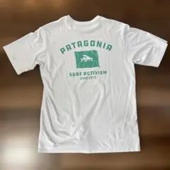 90s パタゴニア USA製 葛飾北斎 波柄 両面プリントTシャツ 限定 L