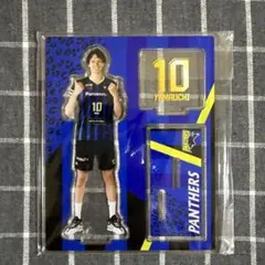 2025年最新】山内晶大選手の人気アイテム - メルカリ