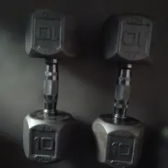 ALEX ダンベル 10kg 2個セット