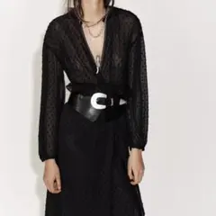 新品未使用タグ付き【ZARA ザラ】プリュムティ 刺繍入り ロングワンピース L