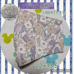 106.ショアライン柄♡ミントグリーンカラー LIBERTY生地 - メルカリ
